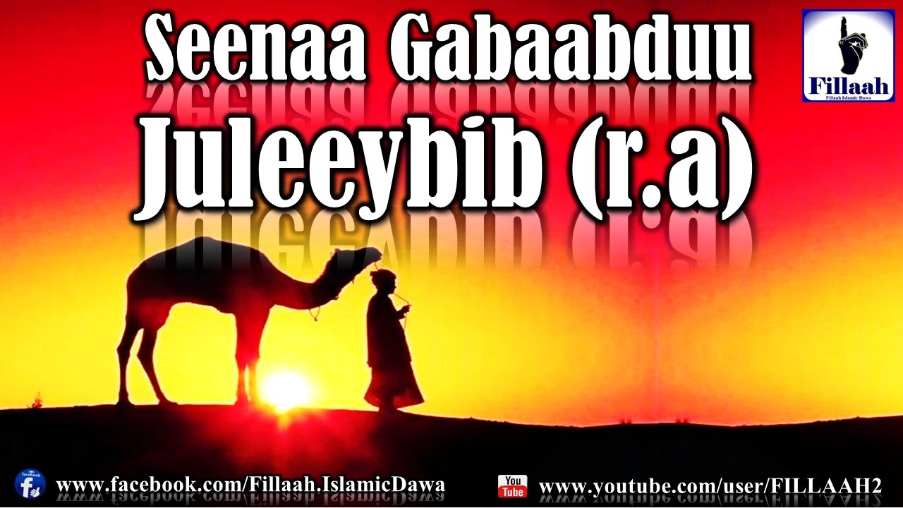 Seenaa Gabaabdu Juleeybib (r.a)