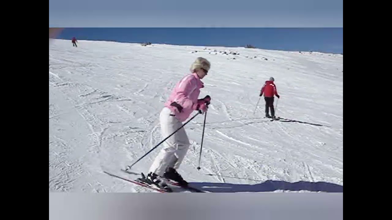 BOROVETS 2006