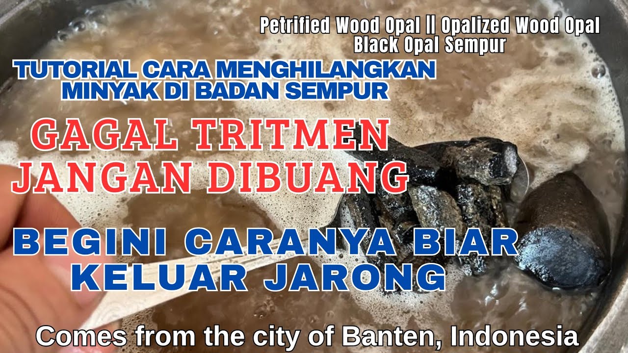 Petrified Wood Opal || Opalized Wood Opal, Menghilangkan Minyak Tritmen Black Opal Sempur