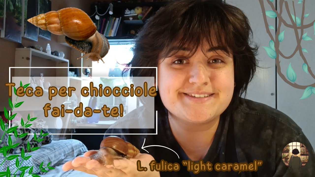 Teca per chiocciole fai-da-te!