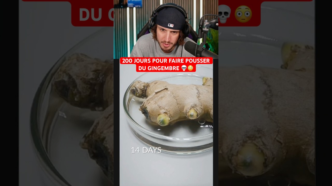 200 JOURS POUR FAIRE POUSSER DU GINGEMBRE 💀😳