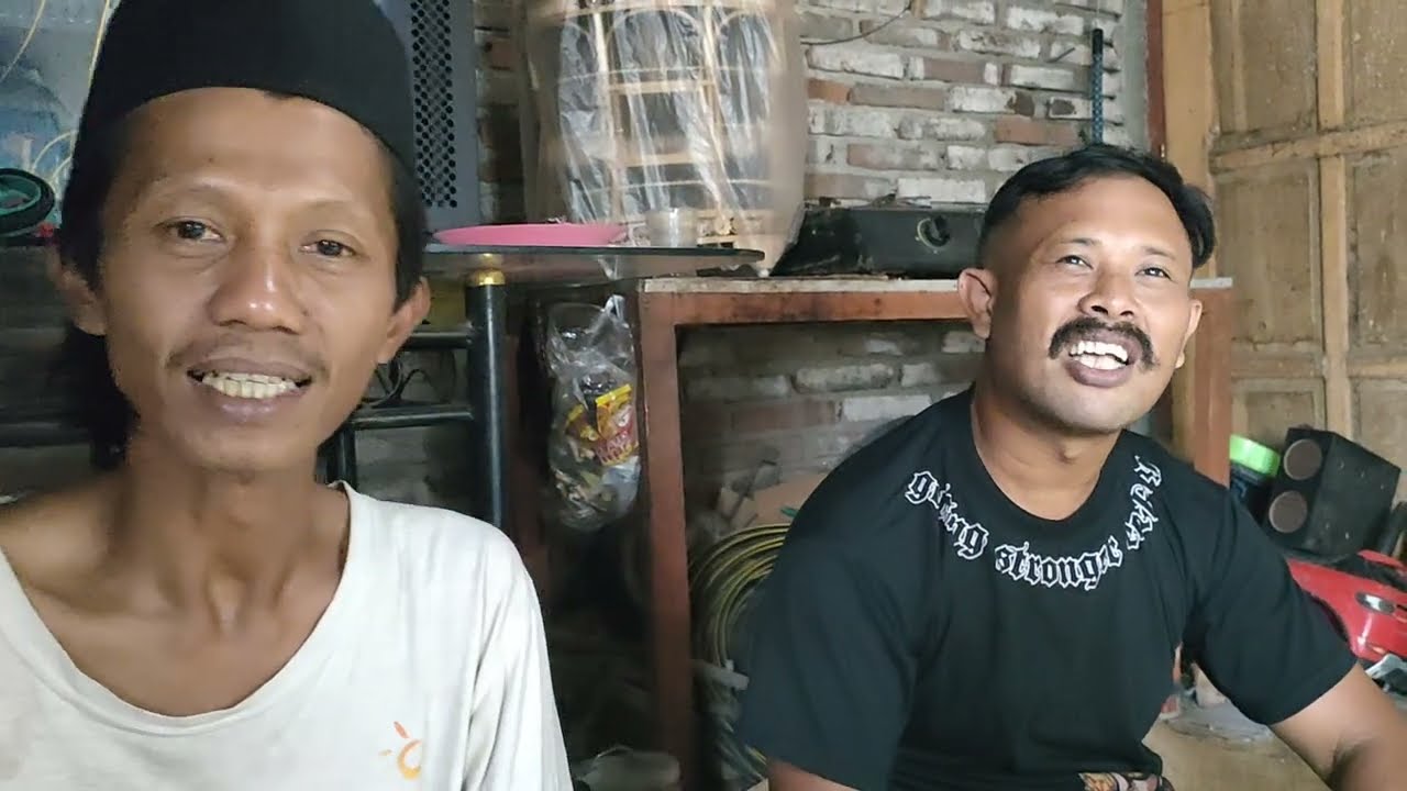 PERAWATAN PERKUTUT SEBELUM LOMBA DI HARI JUM'AT TIPS PENTING BERMANFAAT.