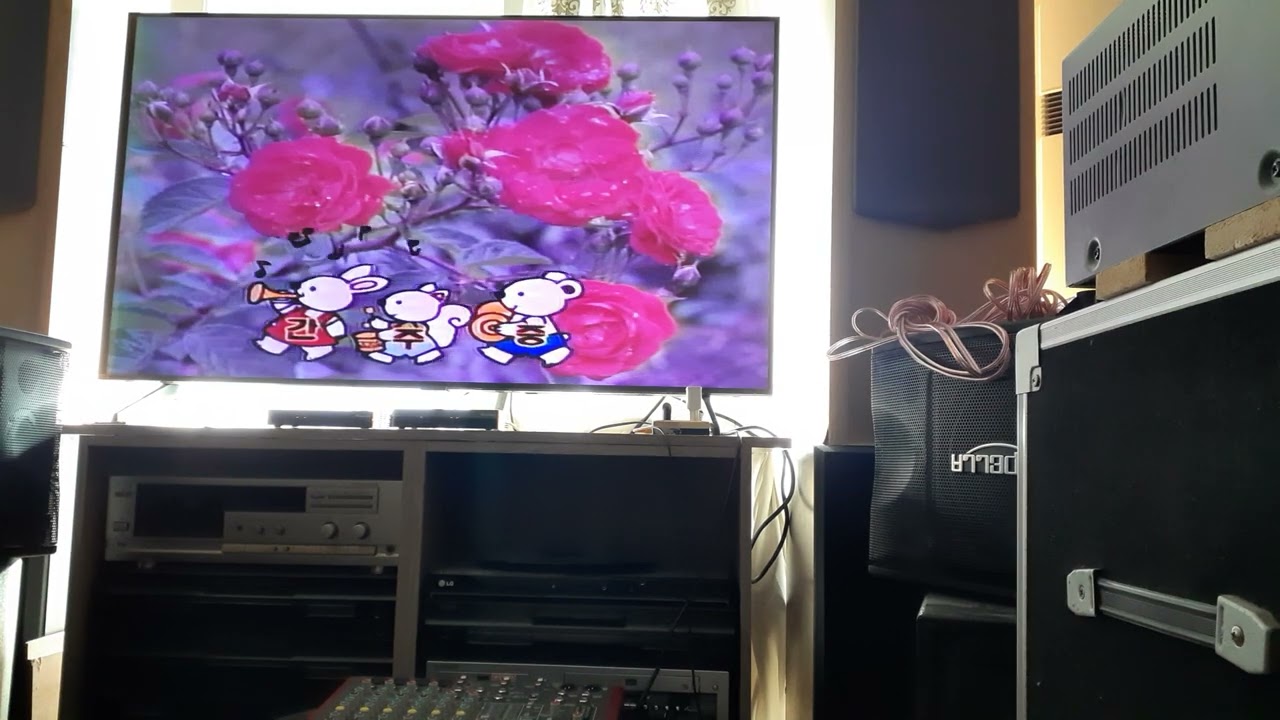 가수 안성(황포돛대)
