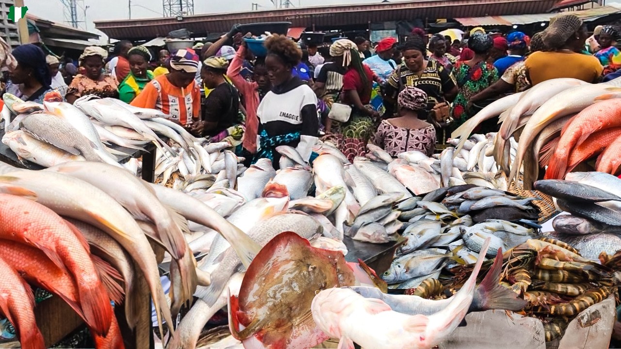 Makoko Seafood Market, Lagos Nigeria. Latest Prices of Fresh Fish, Crabs, and Prawns