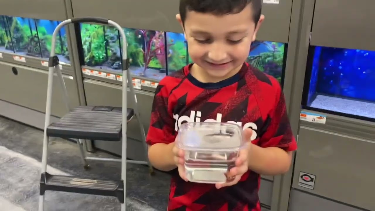 Getting My First Pet Fish 🐠