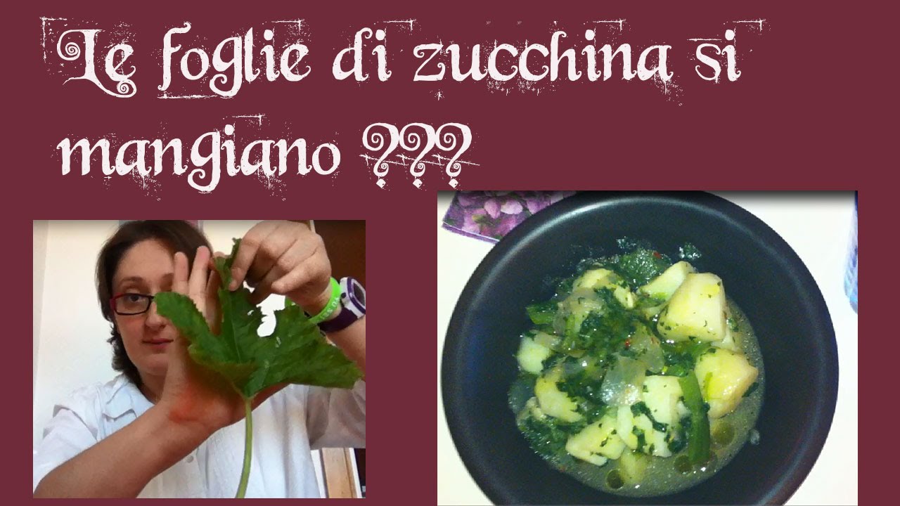 LIMITIAMOiDANNI_13. Le foglie di zucchina si mangiano?