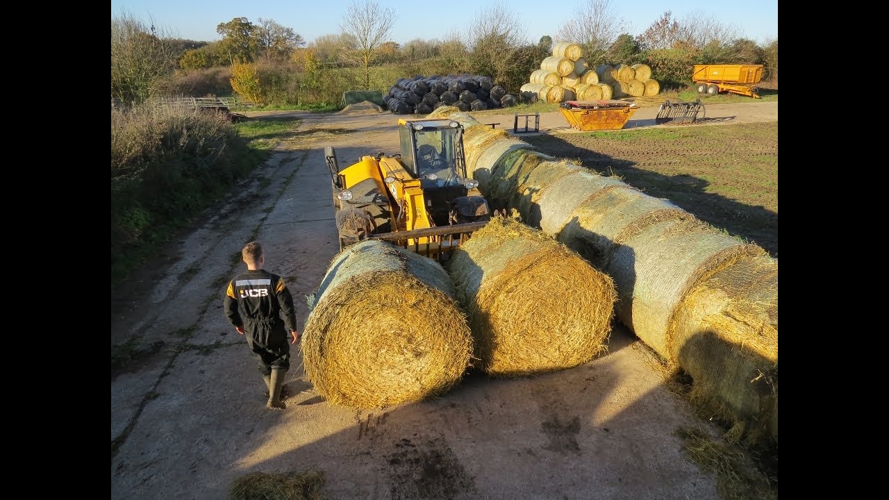Making A Straw Clamp For The Fodder Beet With The JCB 526-56!