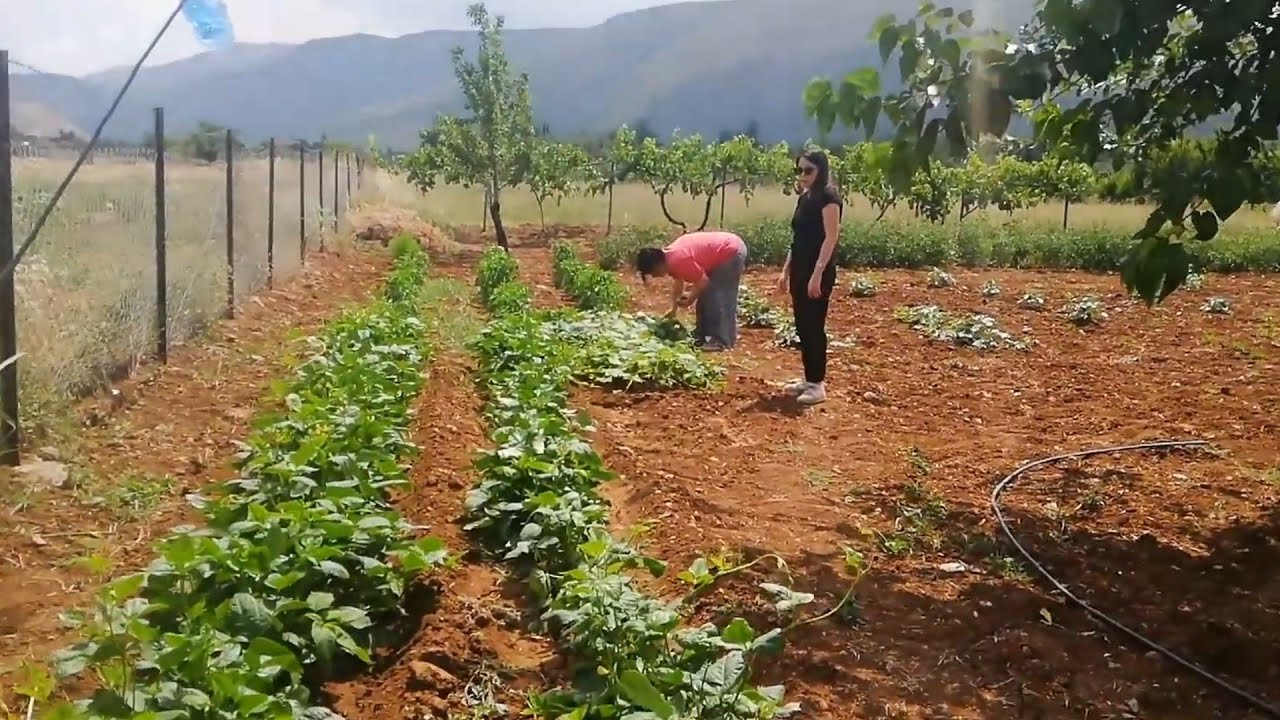 Ege de bir köy Denizli tavas ulukent Garden Tour hobi bahçesi