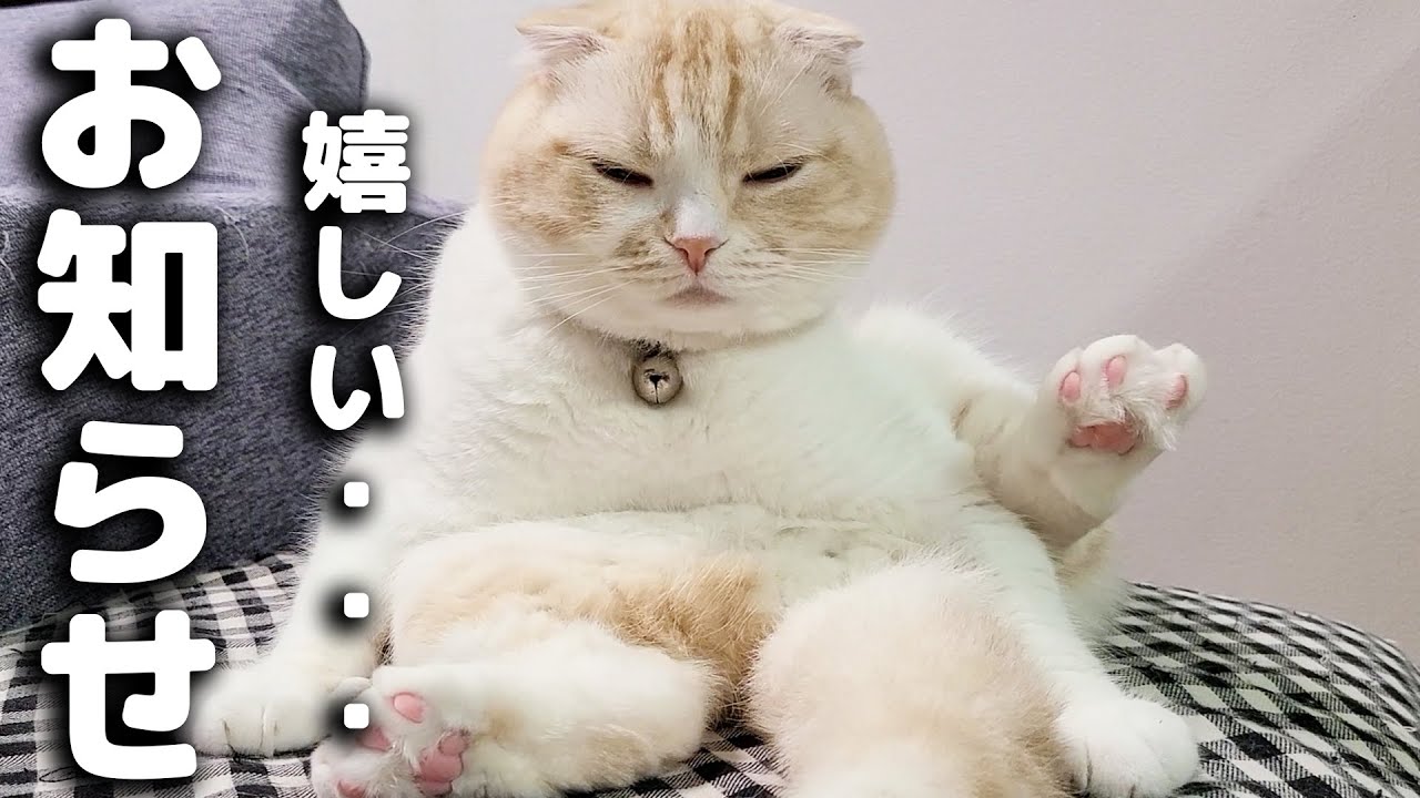 こっそり嬉しいお知らせがあります...