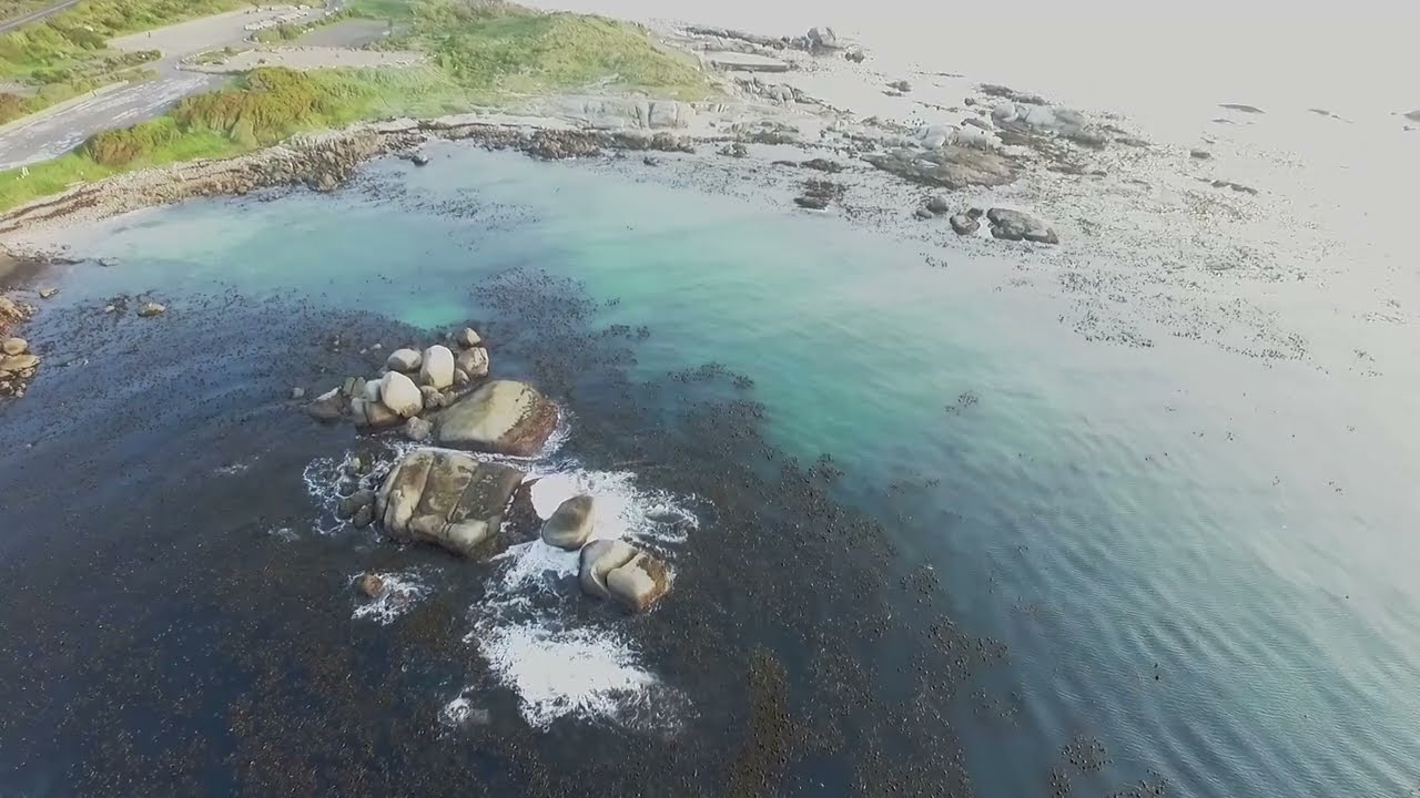 Miller's Point
