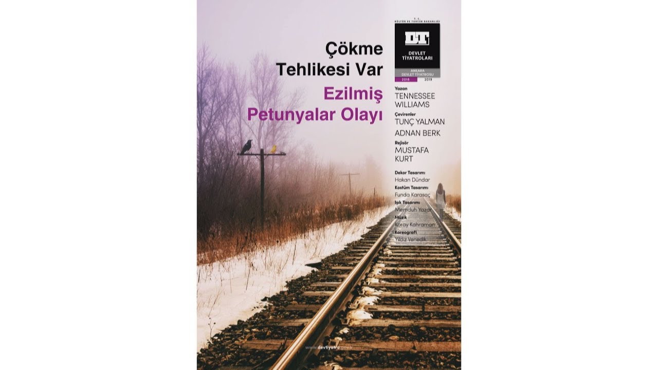 Çökme Tehlikesi Var Ezilmiş Petunyalar Olayı - Ankara Devlet Tiyatrosu
