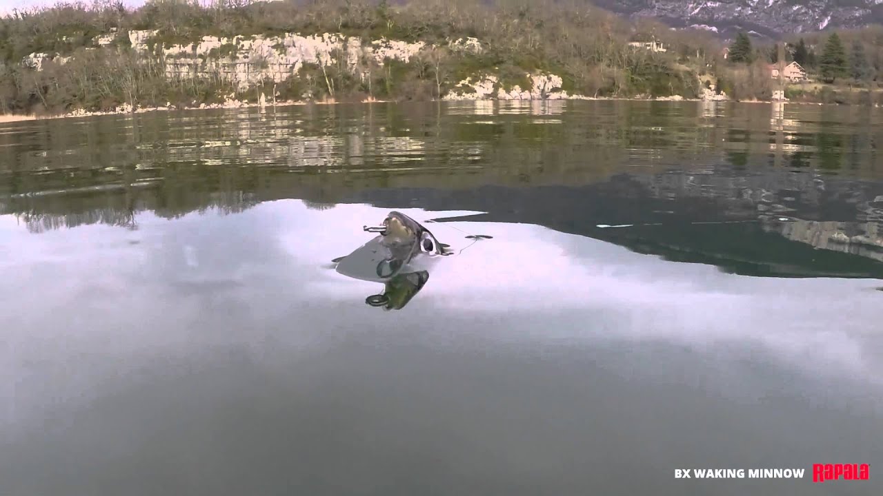 The Rapala BX Waking Minnow