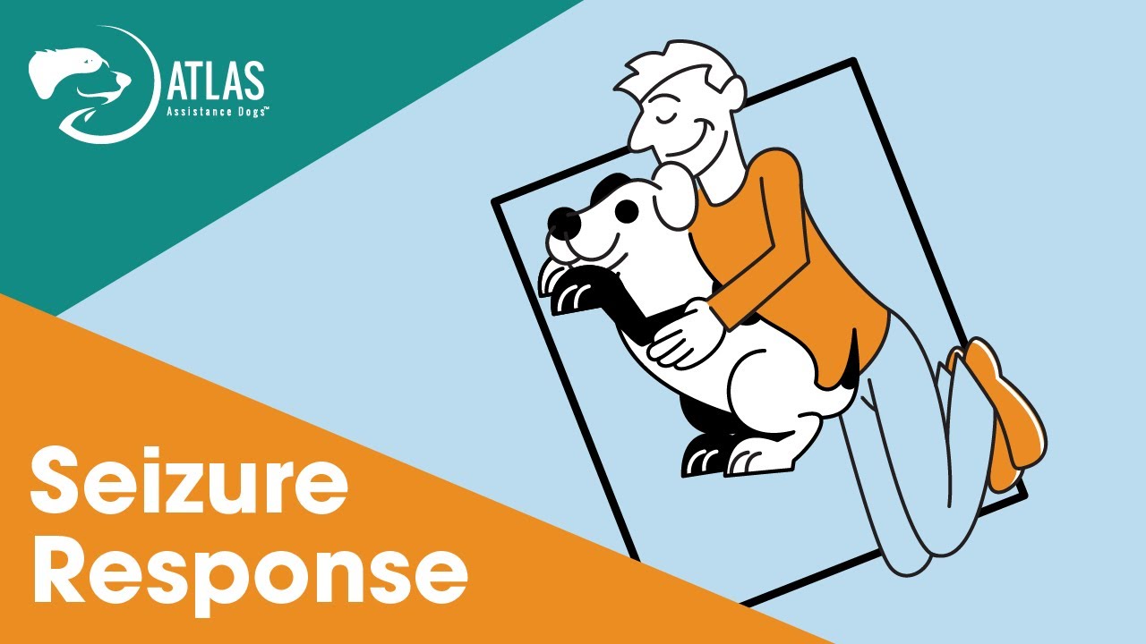 Seizure Response: How to Train Your Service Dog!