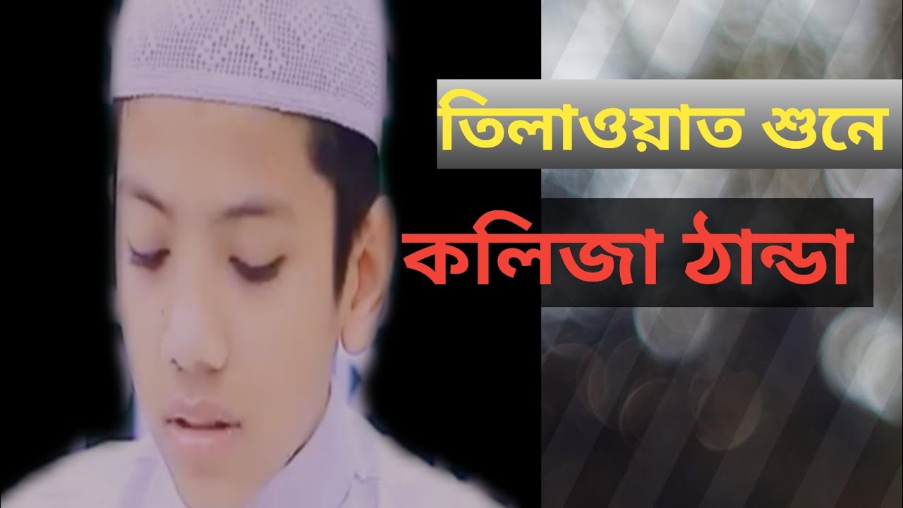 তাকরিমের তিলাওয়াতটি একবার শুনে কলিজা ঠান্ডা করুন। takrim quran tilawat। আনিস রিএকশন এন্ড মিডিয়া। 