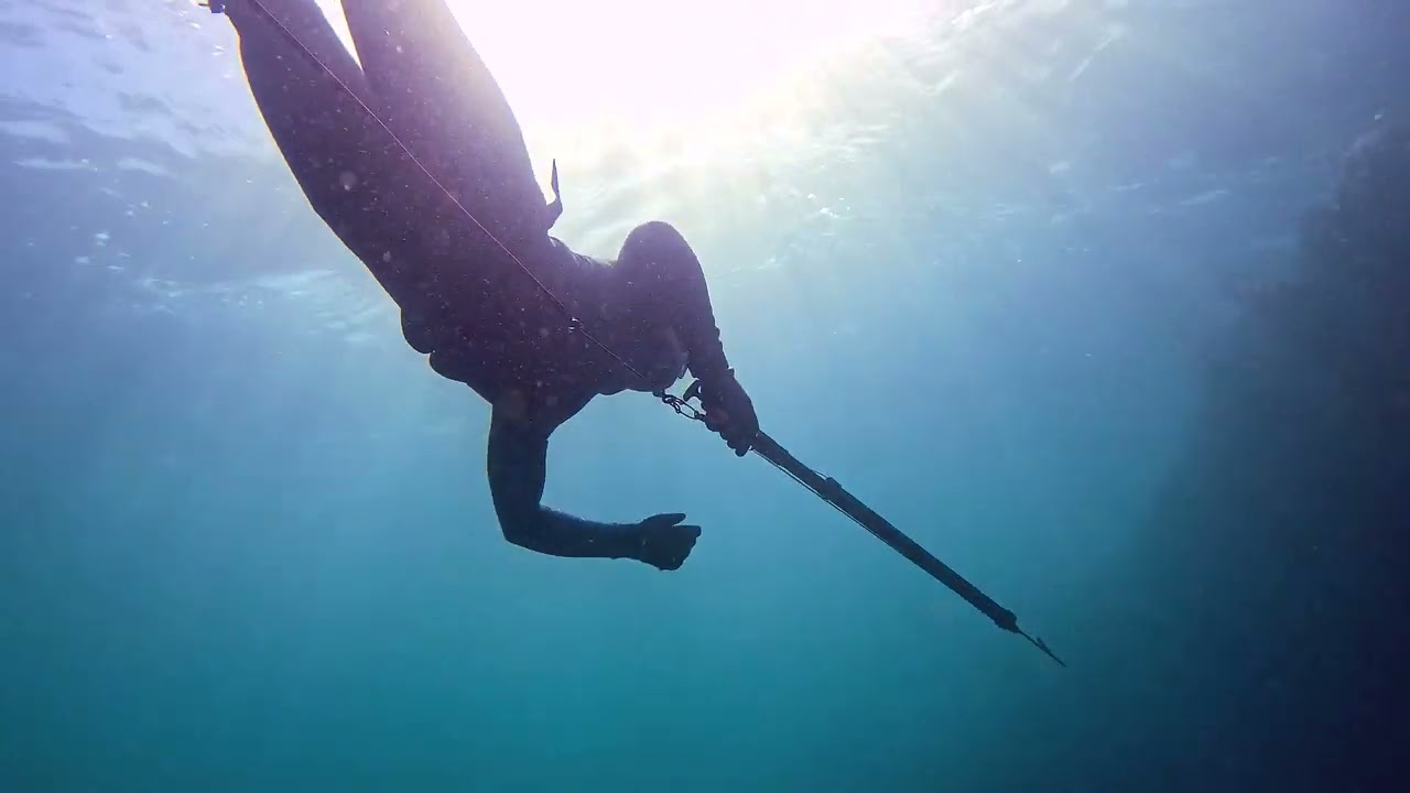 spearfishing mornington backbeach (2023)