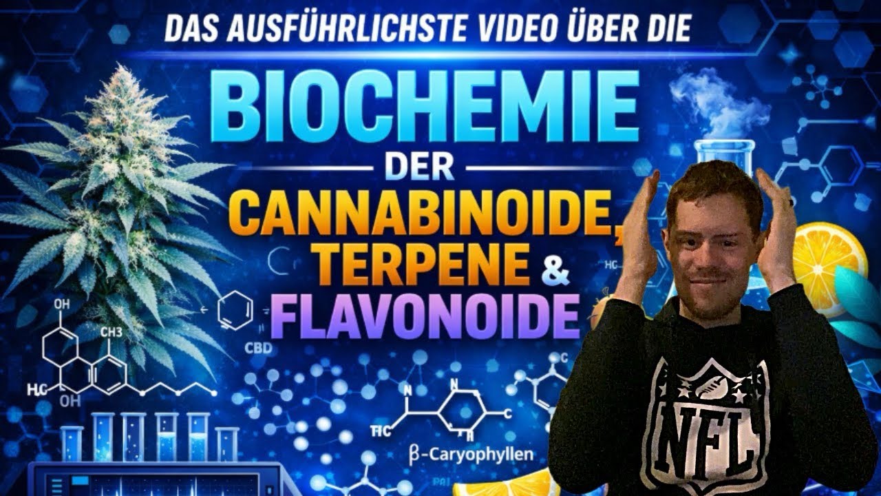 Das ausf&uuml;hrlichste Video &uuml;ber die Biochemie der Cannabinoide, Terpene und Flavonoide!