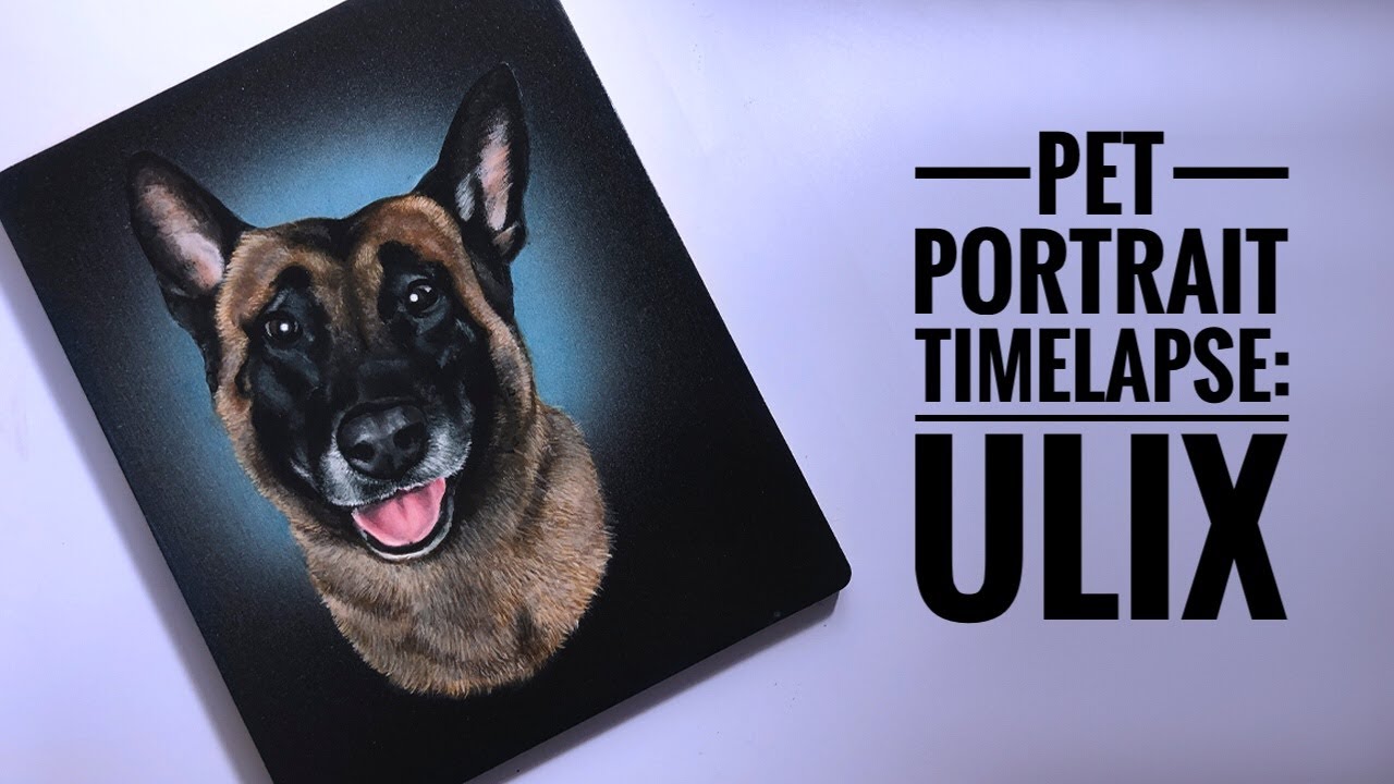 Pet Portrait Timelapse: ULIX