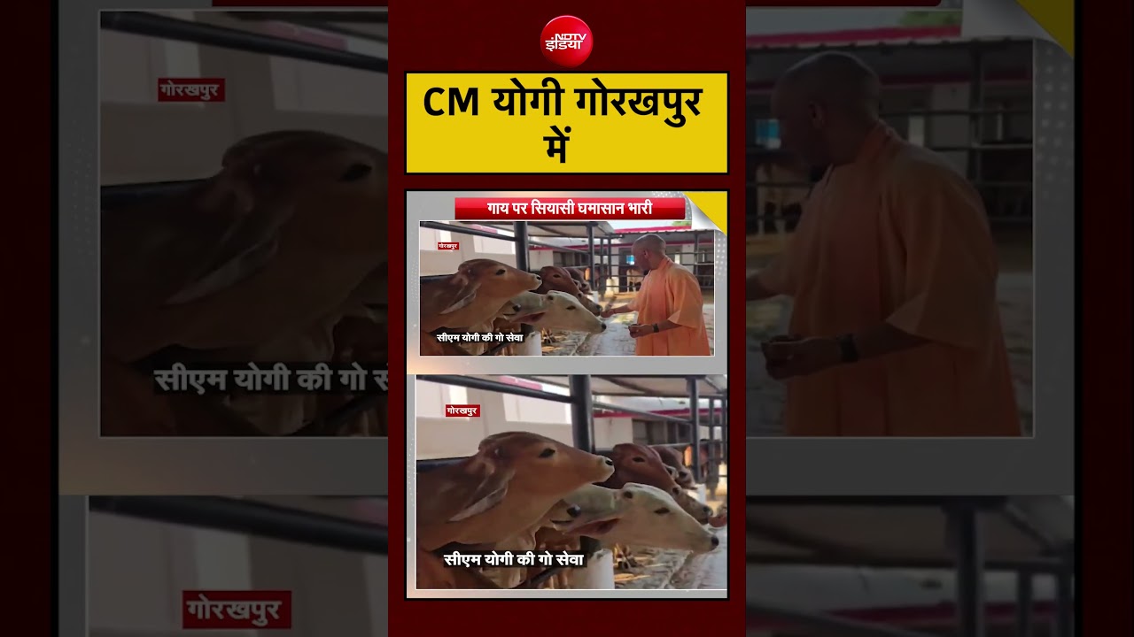 Syed Suhail | UP News | CM योगी आज गोरखपुर में #shorts