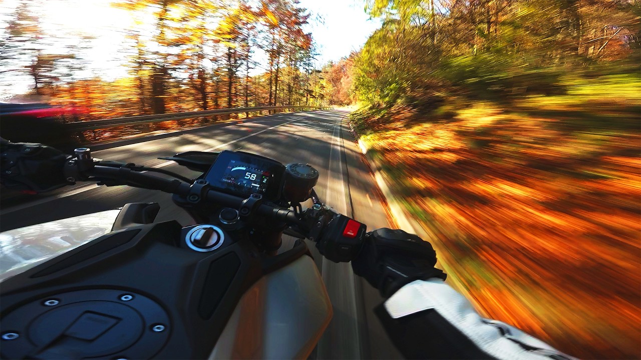 INSANE Autumn Ride 🔥 ┃YAMAHA MT-09 SP┃Akrapovic┃4K POV