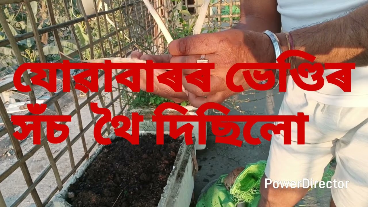 সময় উলিয়াই খেতিত লাগিলো।