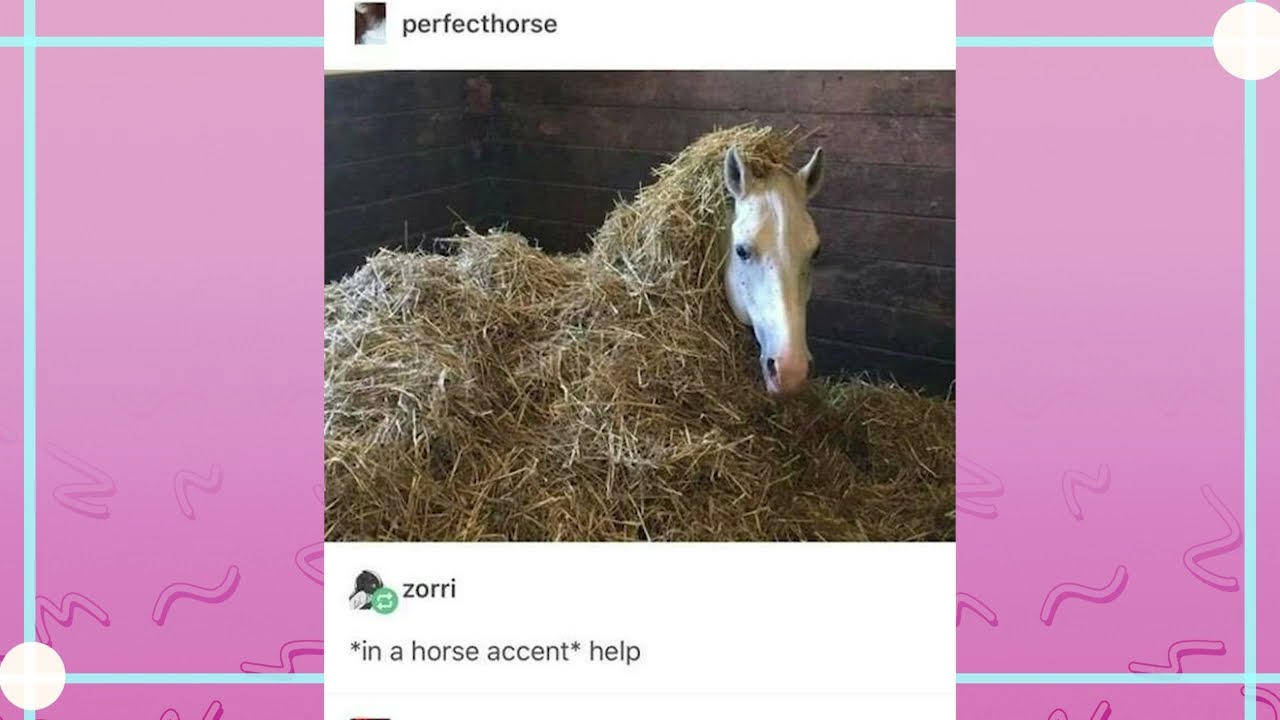 The Safety Word is Tumblr