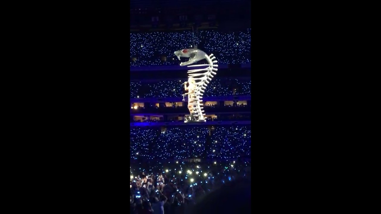 Reputation Stadium Tour - Delicate basket malfunction (7/14/18)