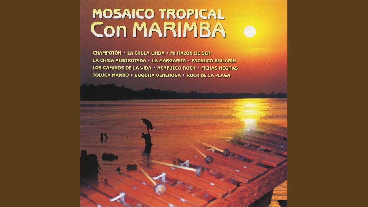 Champotón