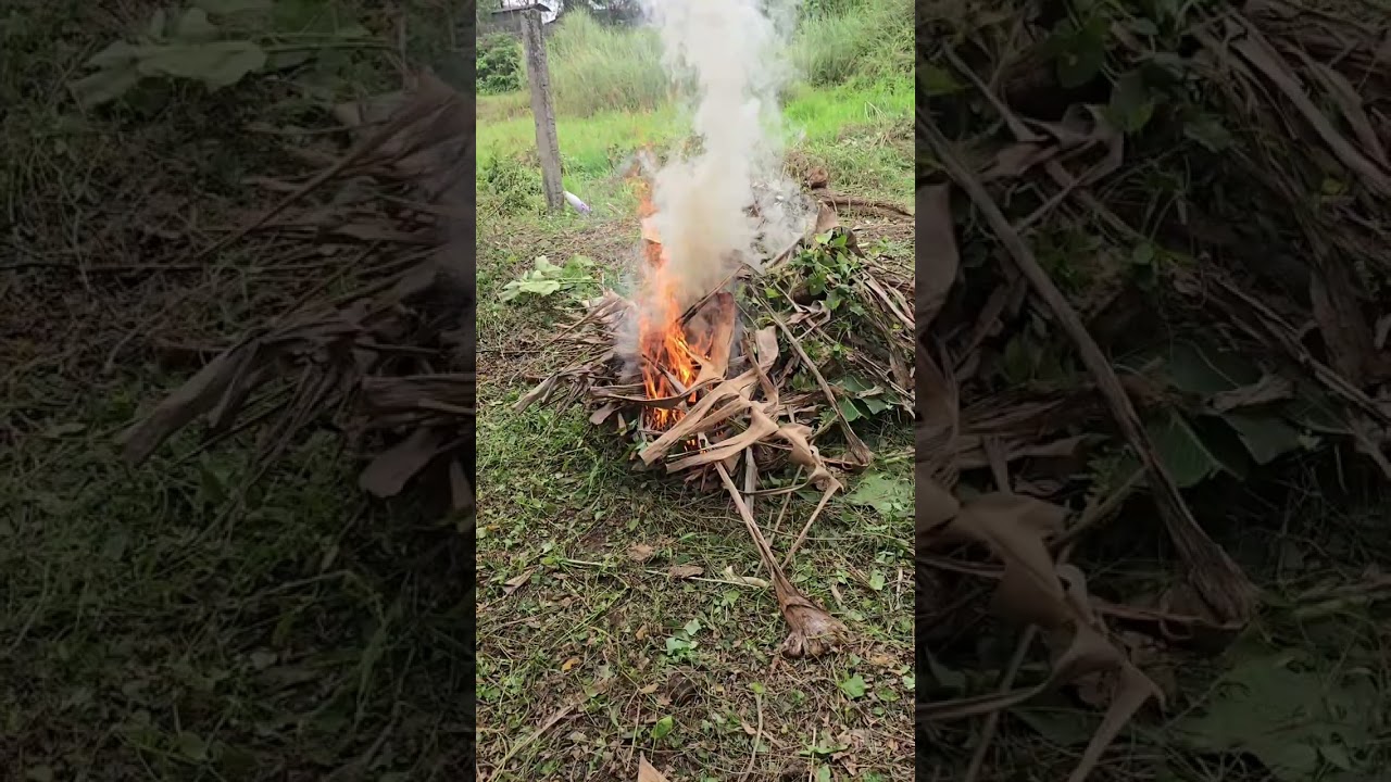 Camping site na free entrance at may bonfire pa. 