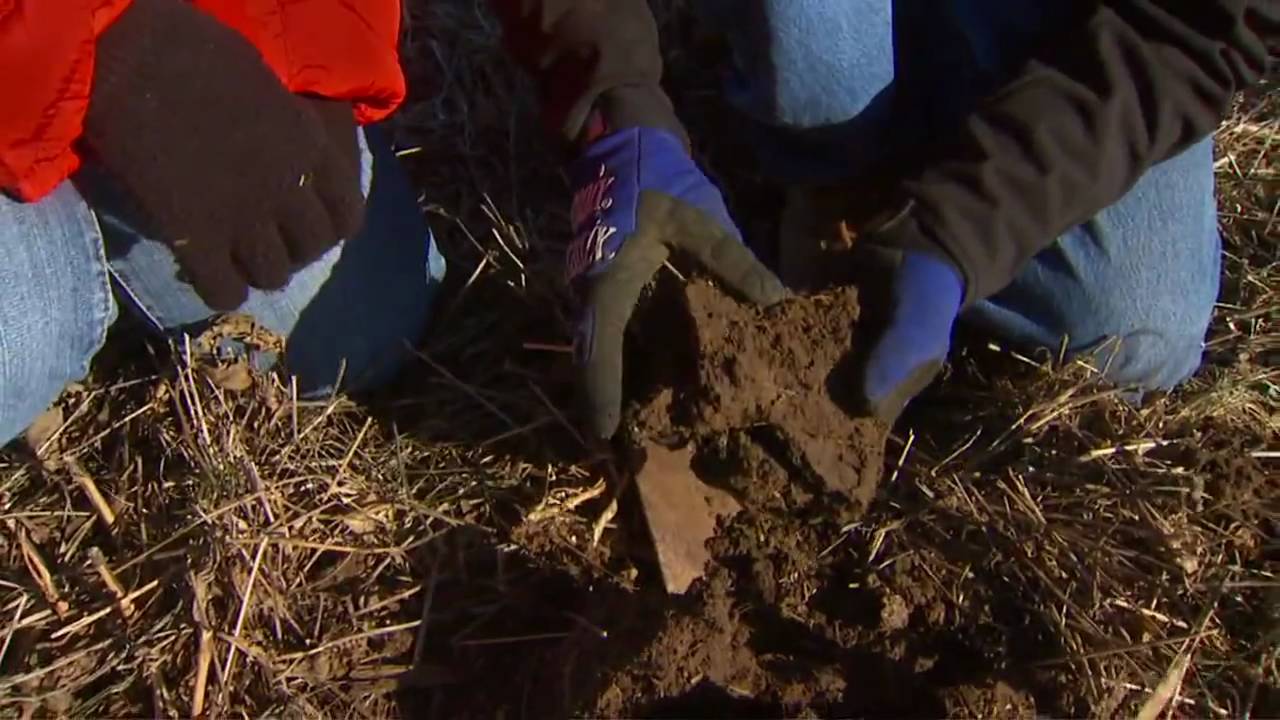 No-Till = Better Soil Quality