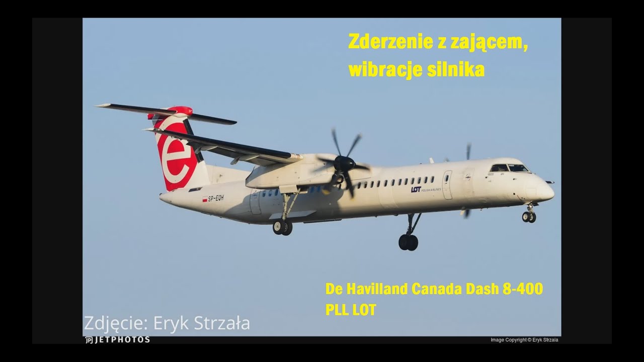 PLL LOT Dash-8 Zderzenie z zającem, wibracje silnika, zapis rozmów ATC