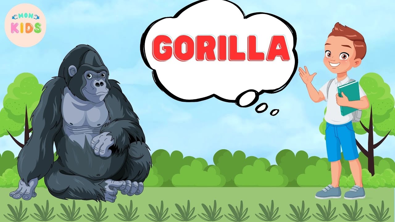 Gorilla Facts For Kids 🦍 Learn All About Gorillas | MON Kids