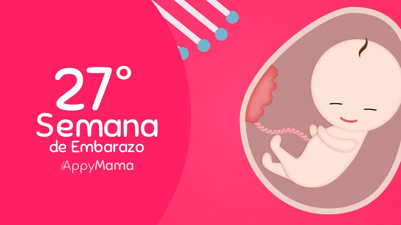 Semana 27 de 