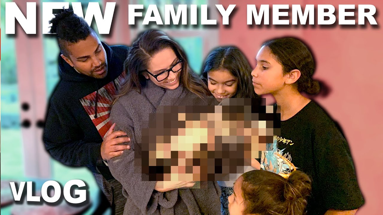 OUR NEWEST FAMILY MEMBER (AND HER FIRST SURGERY)