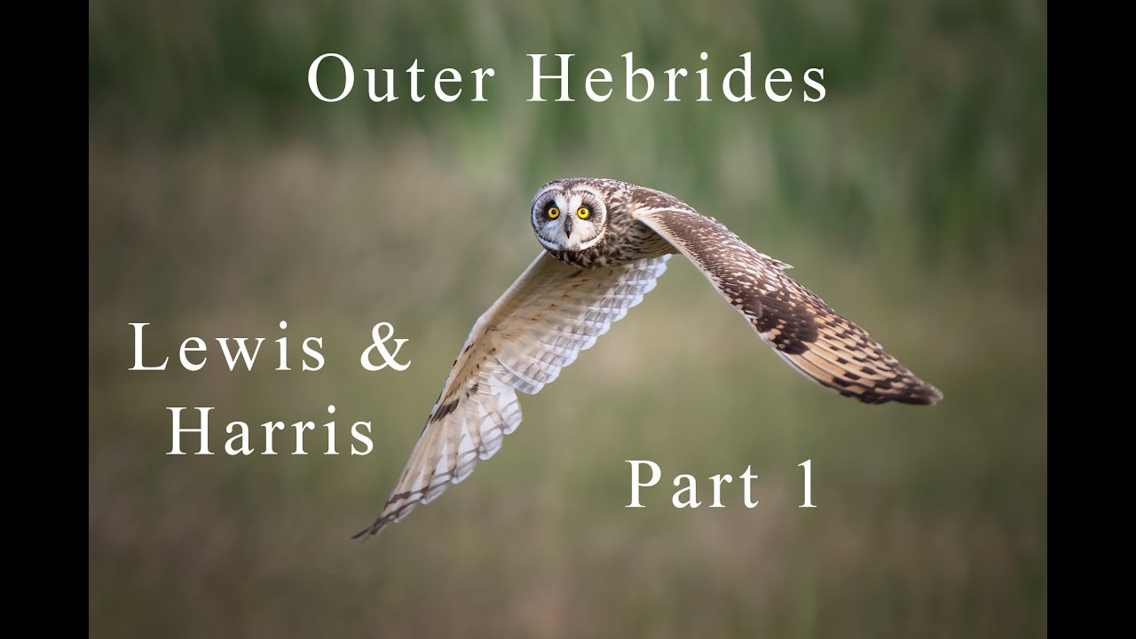 Wildlife Photography | VLOG – Part 1 | Isle of Lewis & Harris, Outer Hebrides, Scotland, UK | 2024