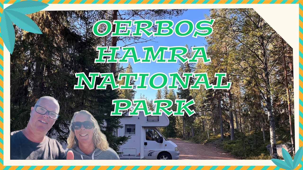 731 HAMRA NATIONAL PARK | ZWEDEN MET DE CAMPER: ZO HOORT EEN BOS TE ZIJN