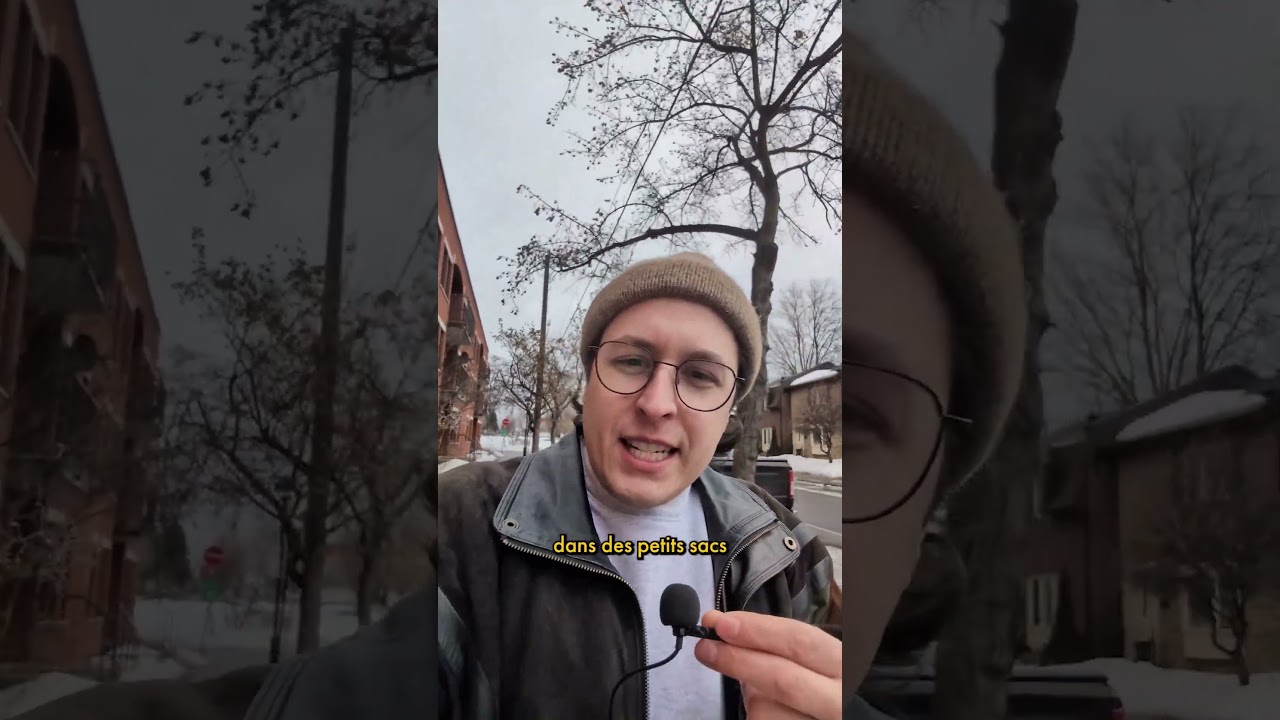 c'est pas impossible que j'en apprivoise un 🐿️#montreal #humour
