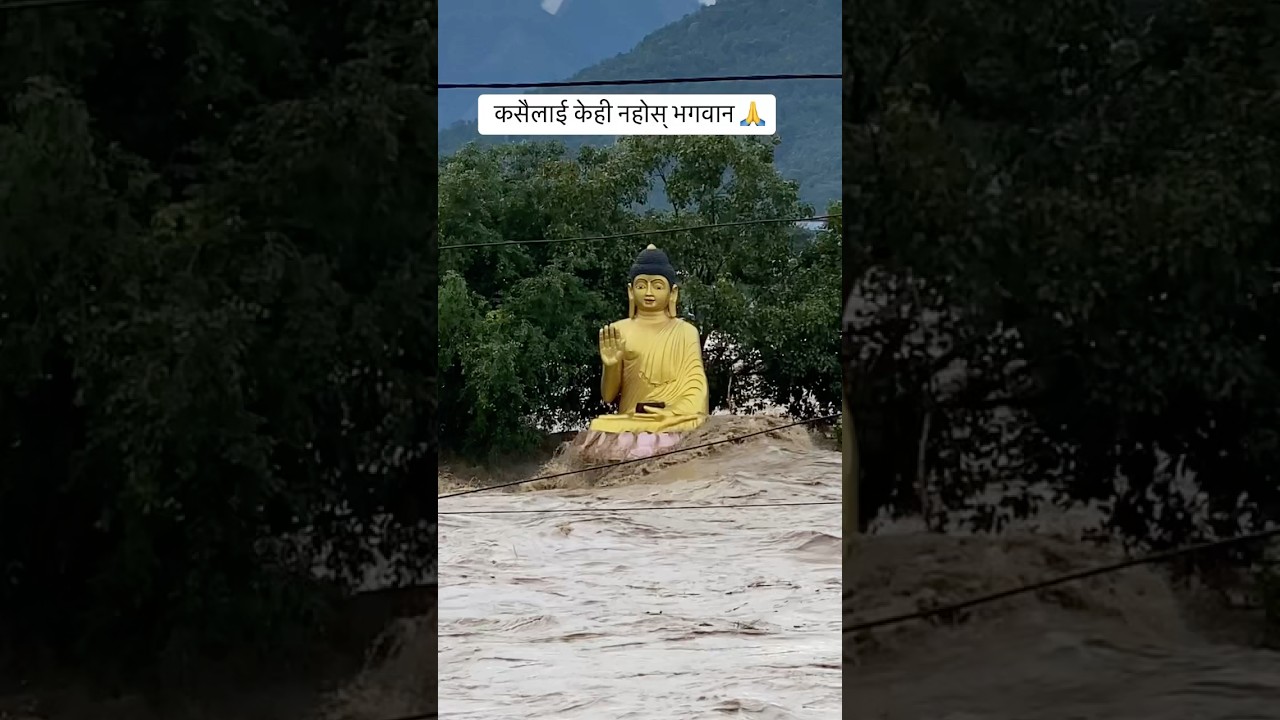 Narayani River, Nepal 🇳🇵#shorts #ytshorts #nepal #badi