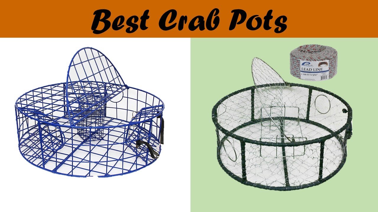 Best Crab Pots 2020 : Top 5 Crab Pots Reviews
