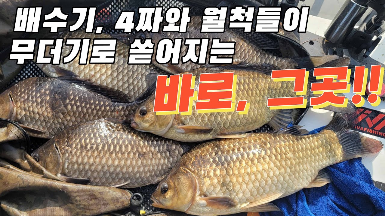 여기, 붕어 미친 것 같아요~!!