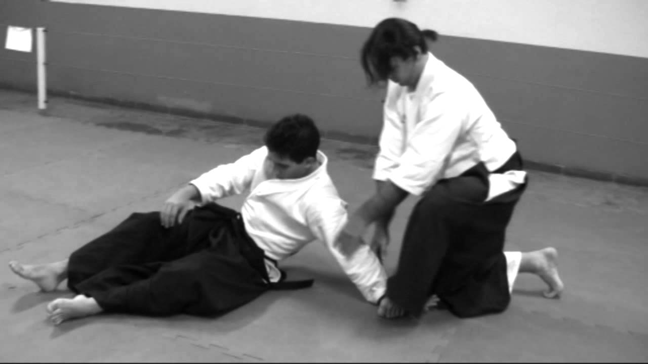 Ogawa Ryu Aikijujutsu Shinjitsu no Ren - Brazil