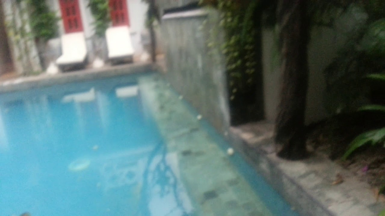 at rambutan bat
