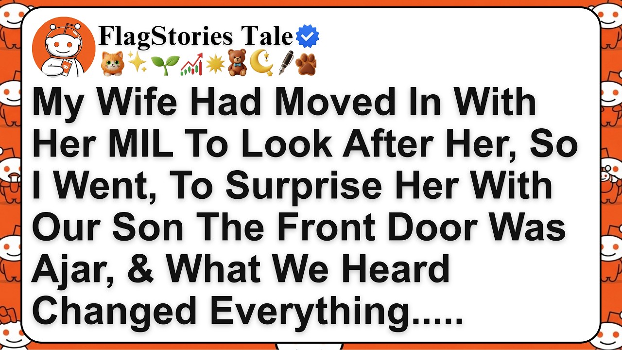 My Wife Had Moved In With Her MIL To Look After Her, So I Went, To Surprise Her With Our Son — The