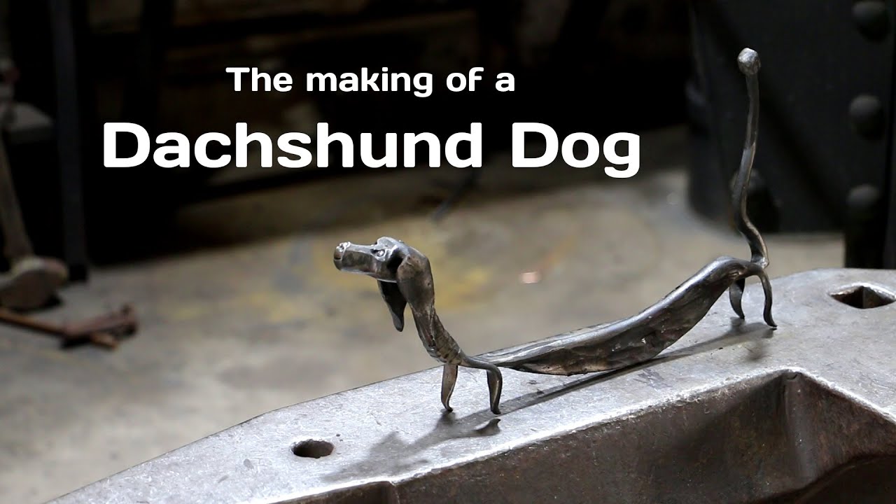 The making of a Dachshund Dog