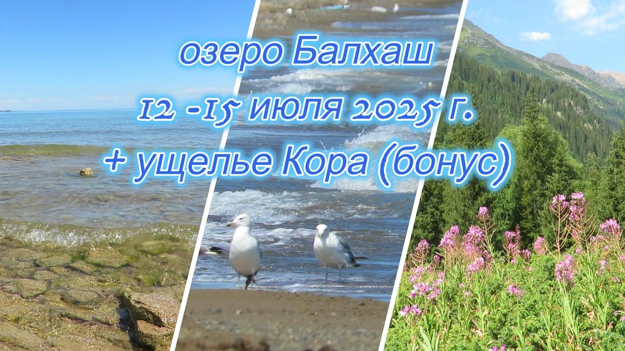 Поездка на озеро Балхаш 2025 год.