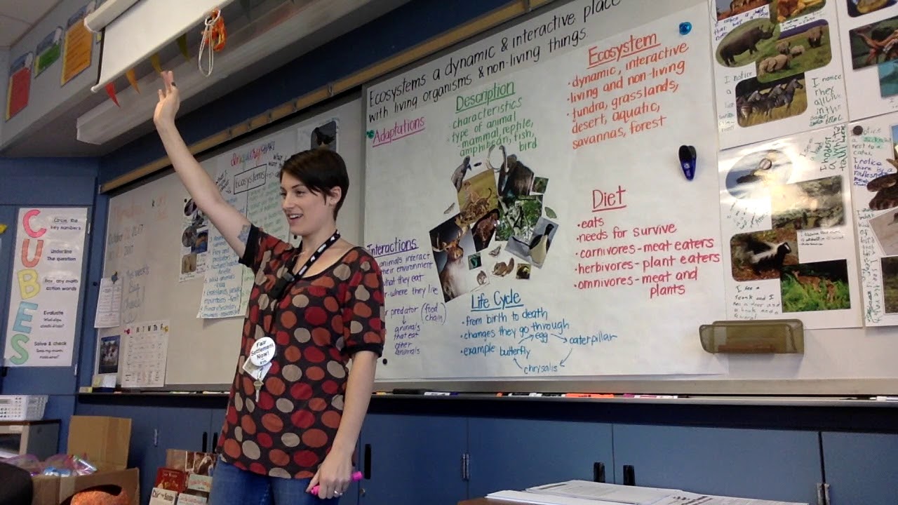 Benchmark Advance Animal Adaptations Intro Chart
