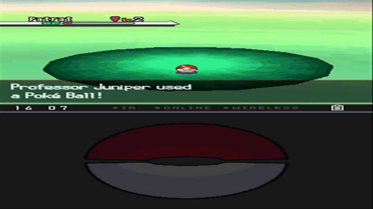 Pokémon Black and White Walkthrough episode 2 - Route 1 - The First step
