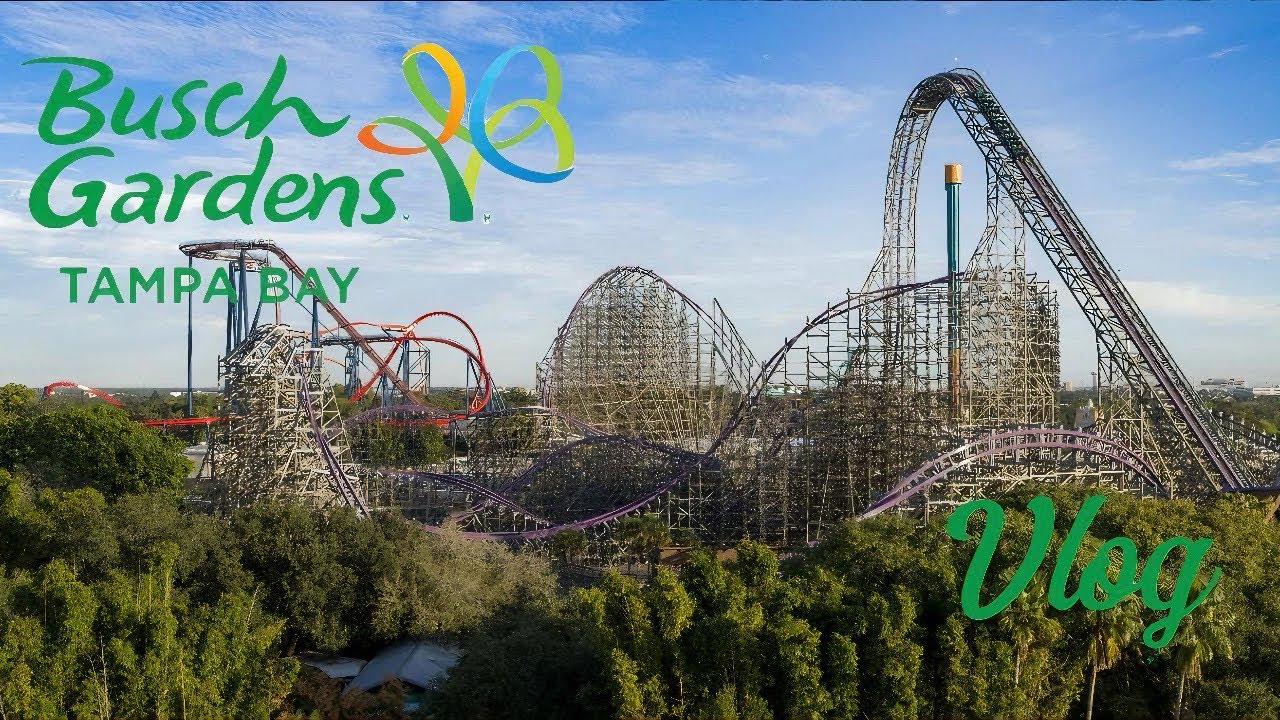 Прокатитесь на одних из лучших американских горок в мире! В парке Busch Gardens Tampa.