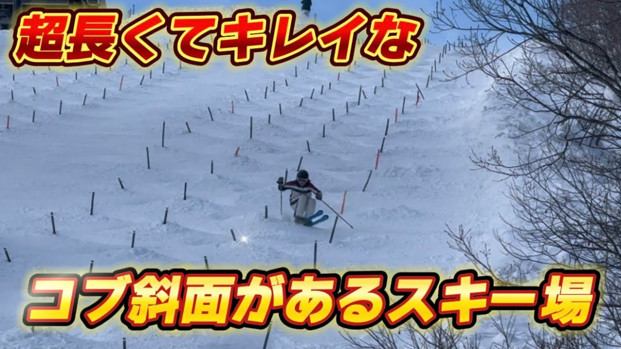 【25-26年シーズン】リニューアルした長野県のスキー場へ行ってきた！コブコースも充実し東京で予約がレストランも入店！戸狩温泉スキー場