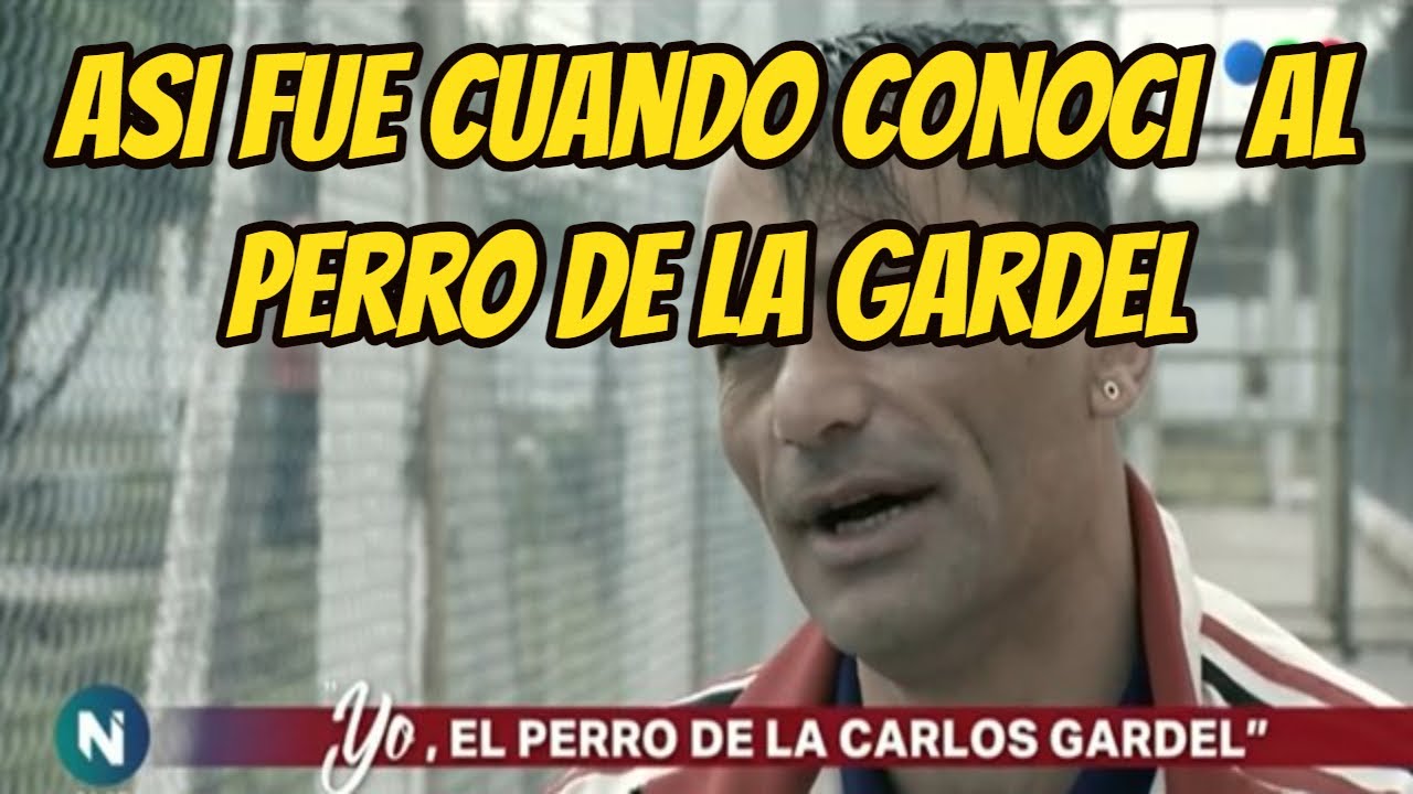 Asi lo conocí al perro de la gardel