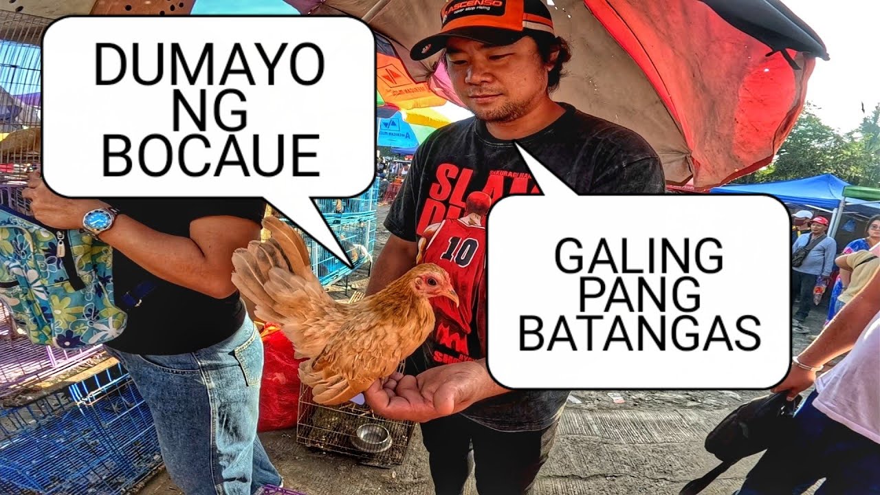 EKSENA SA BOCAUE DECEMBER 26, 2025 | PET TIANGGE